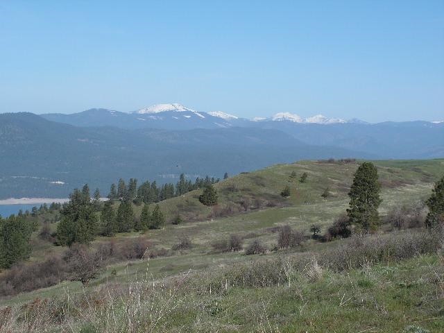 Tbd Tbd Charlie Russell Road Rice, WA 99167 - Photo 12 of 20