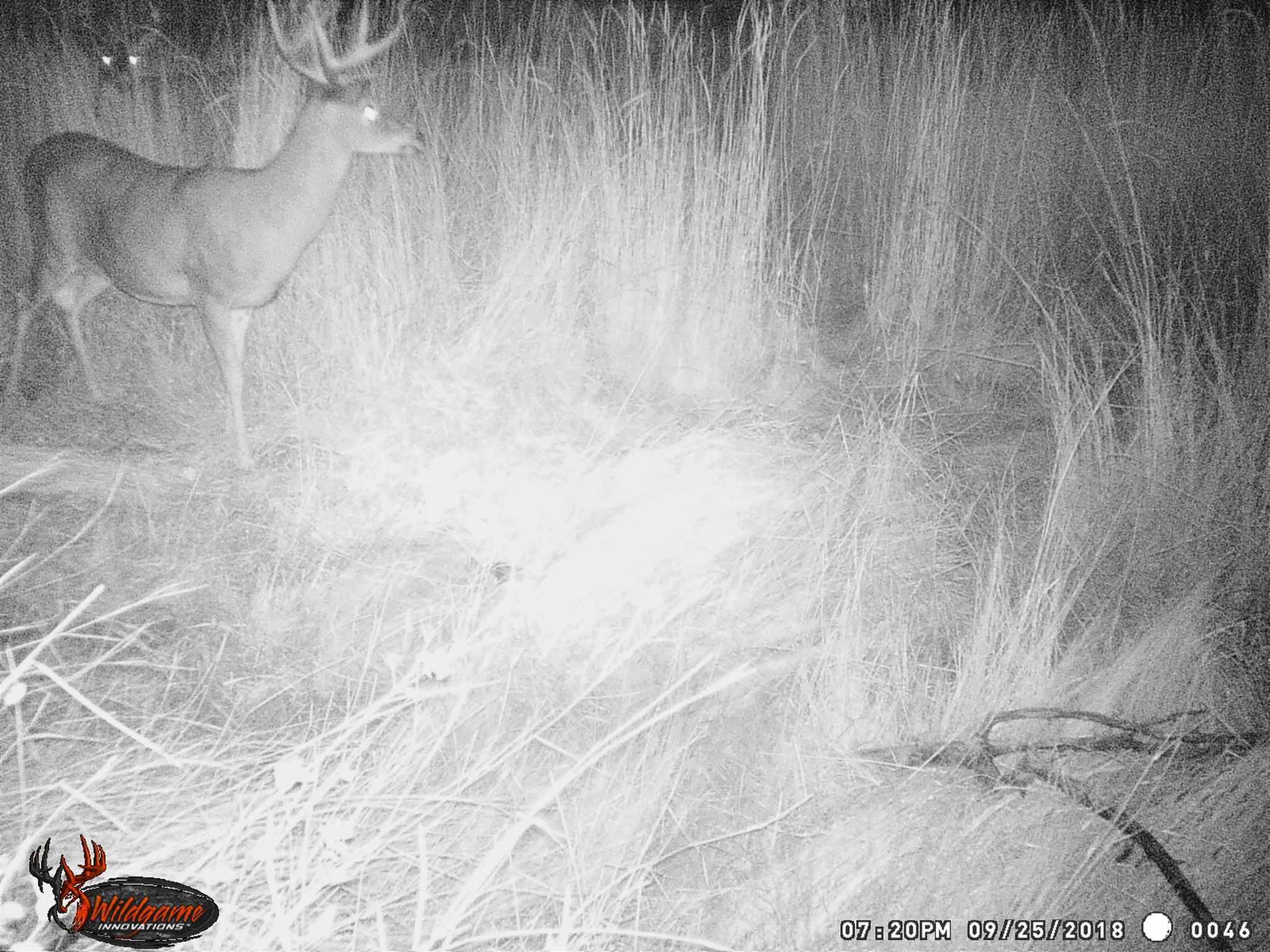 Tbd Tbd Charlie Russell Road Rice, WA 99167 - Photo 14 of 20