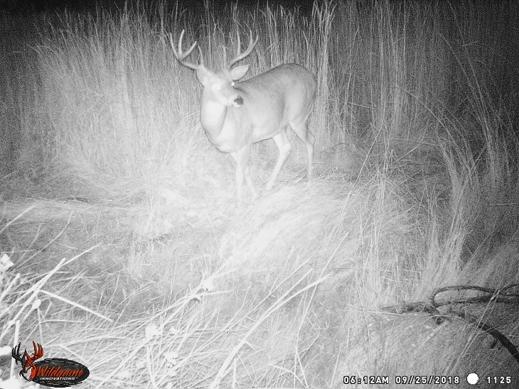 Tbd Tbd Charlie Russell Road Rice, WA 99167 - Photo 15 of 20
