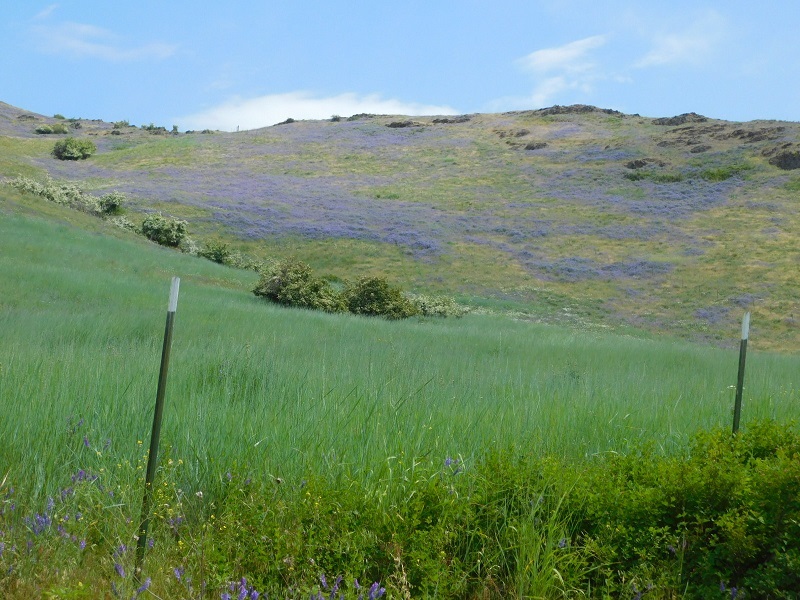 Tbd Tbd Charlie Russell Road Rice, WA 99167 - Photo 17 of 20