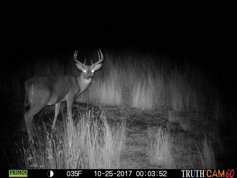 Tbd Tbd Charlie Russell Road Rice, WA 99167 - Photo 18 of 20