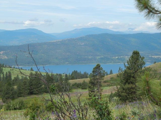 Tbd Tbd Charlie Russell Road Rice, WA 99167 - Photo 3 of 20