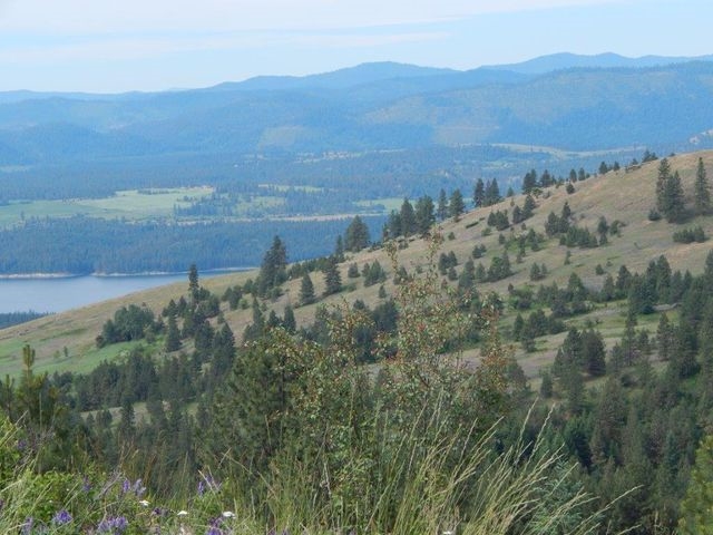 Tbd Tbd Charlie Russell Road Rice, WA 99167 - Photo 4 of 20