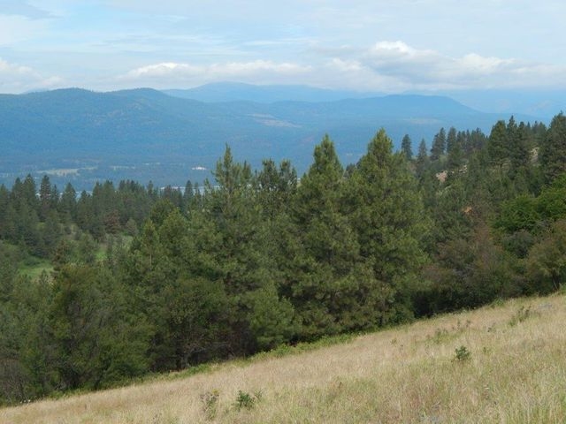Tbd Tbd Charlie Russell Road Rice, WA 99167 - Photo 6 of 20
