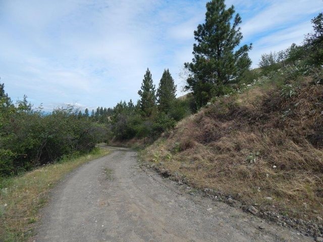 Tbd Tbd Charlie Russell Road Rice, WA 99167 - Photo 7 of 20