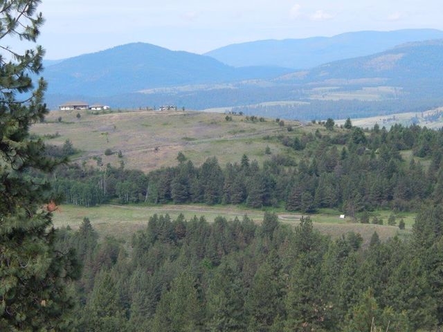 Tbd Tbd Charlie Russell Road Rice, WA 99167 - Photo 8 of 20