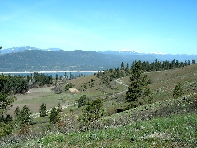 Tbd Tbd Charlie Russell Road Rice, WA 99167 - Photo 9 of 20