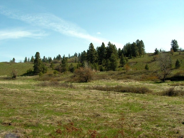 Tbd Tbd Charlie Russell Road Rice, WA 99167 - Photo 10 of 20