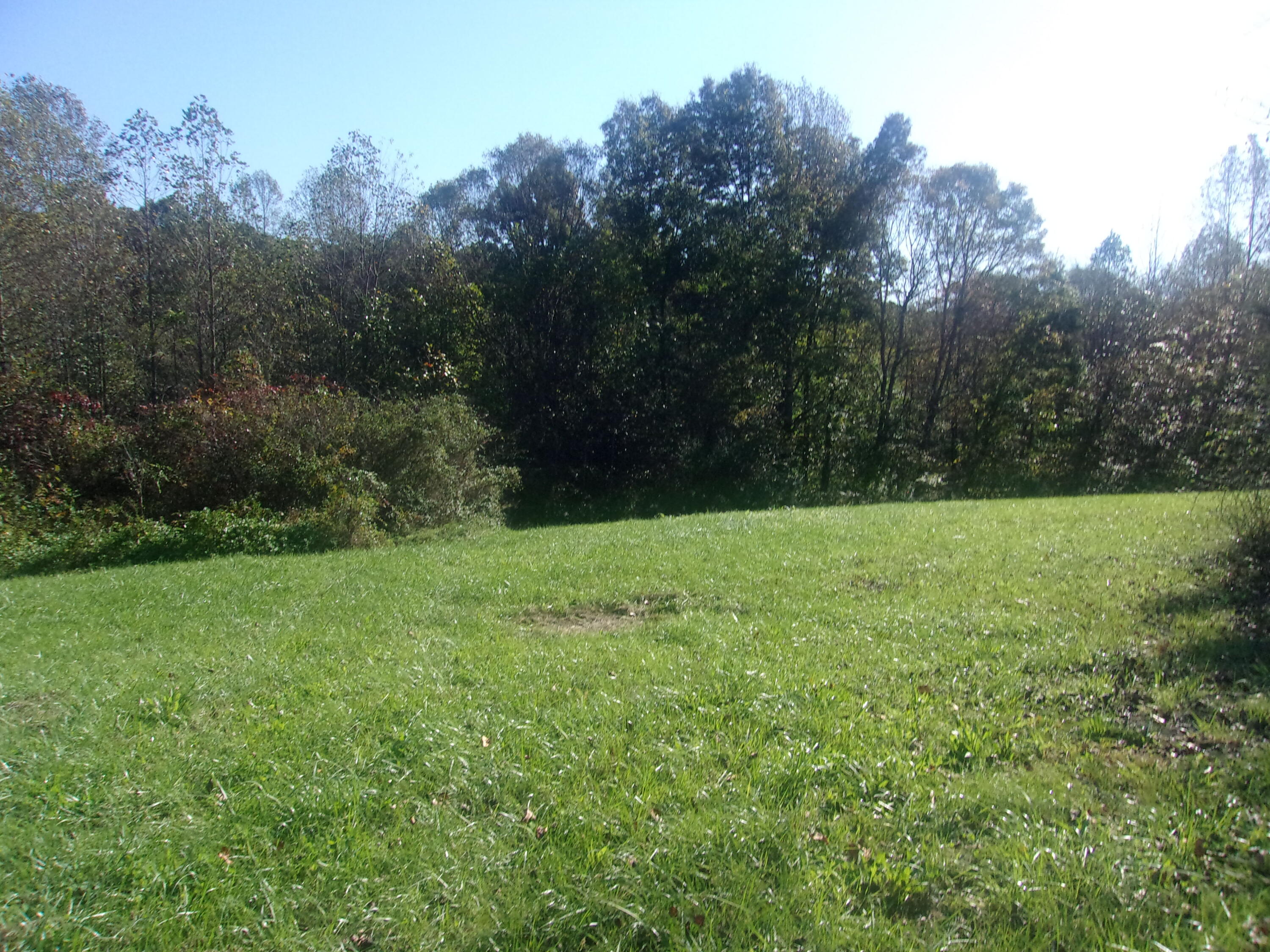 1195 Vaught Ridge Road Science Hill, KY 42553 - Photo 11 of 12 100_0546