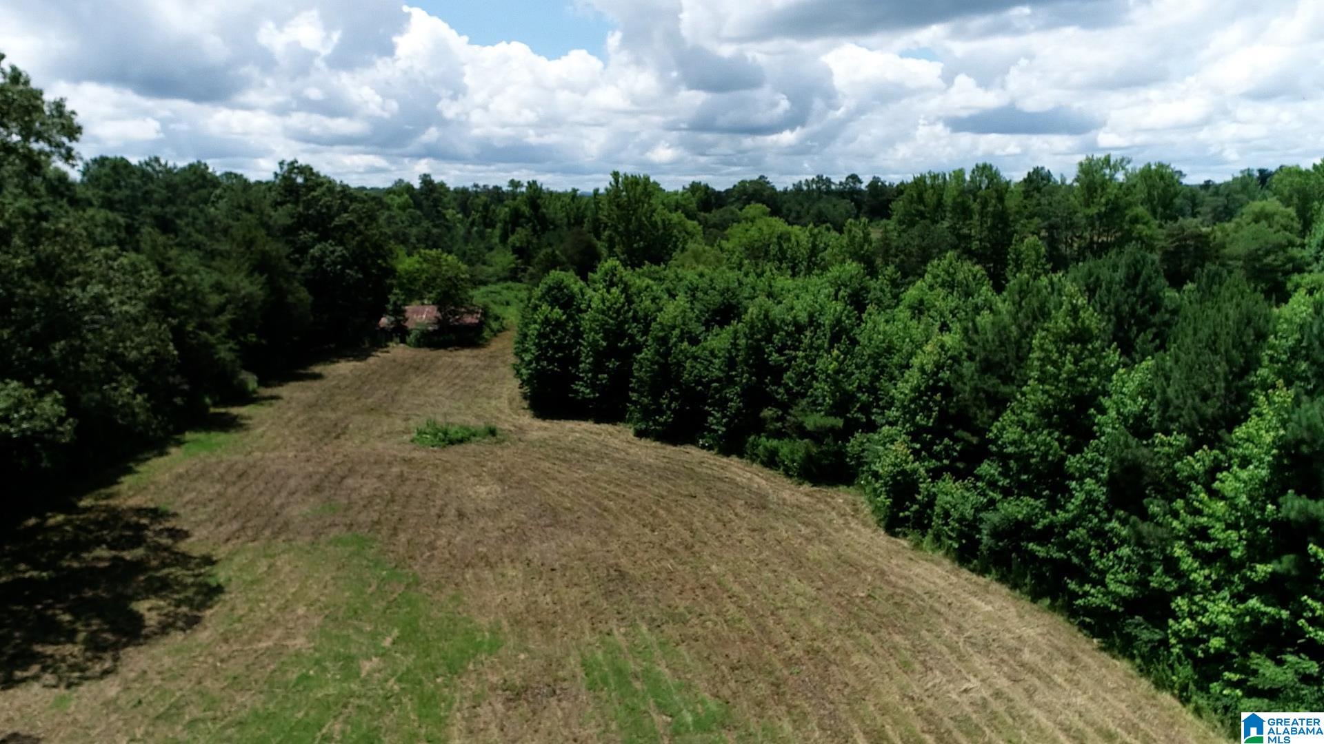 Buck Road, Unit 43 Cleveland, AL 35049 - Photo 9 of 17