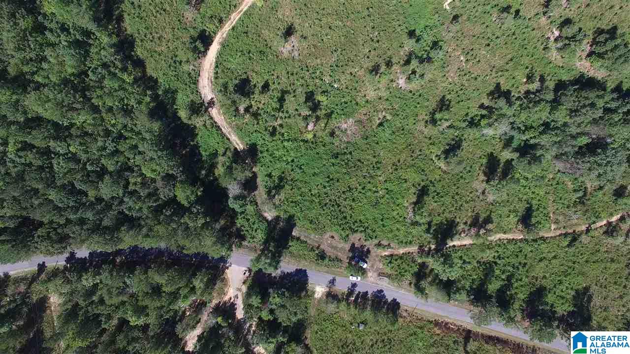 0 Jackson Trail, Unit 140 ACRES Altoona, AL 35952 - Photo 5 of 50