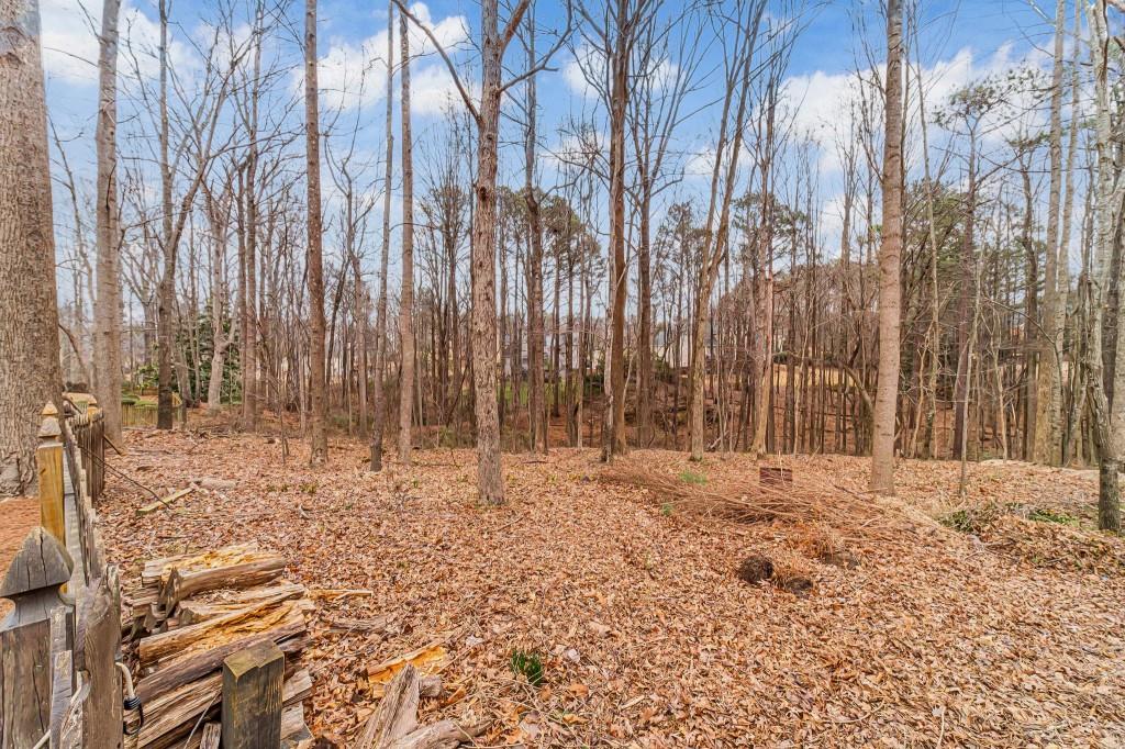 205 Amberbrook Circle Grayson, GA 30017 - Photo 67 of 81