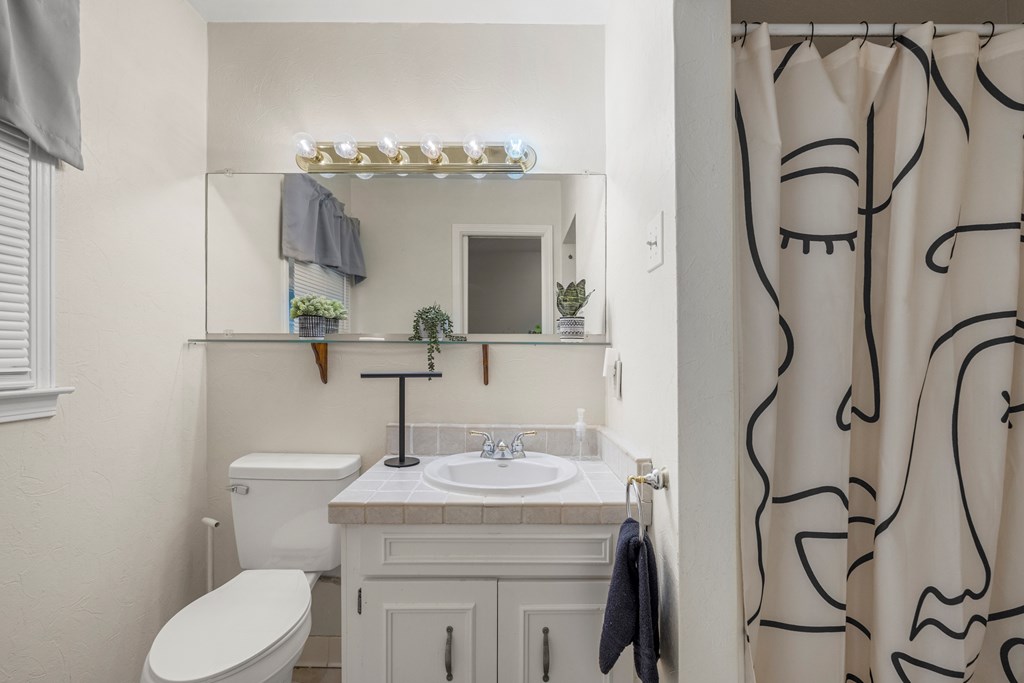 7310 Macon Road Columbus, GA 31907 - Photo 23 of 28 a bathroom with a sink mirror and toilet