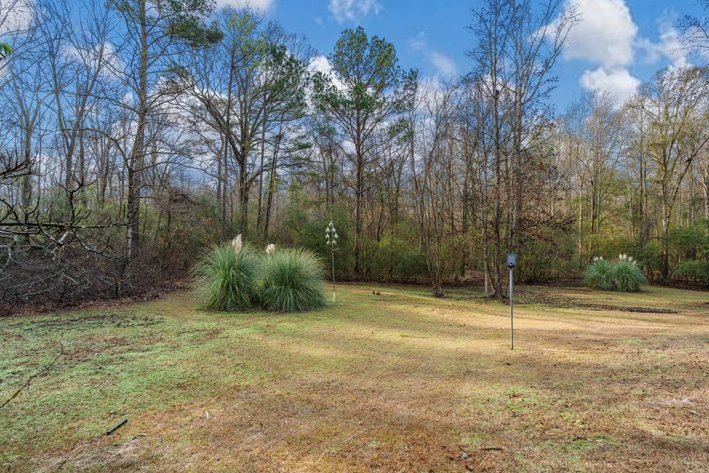 7310 Macon Road Columbus, GA 31907 - Photo 28 of 28 a view of a field with trees
