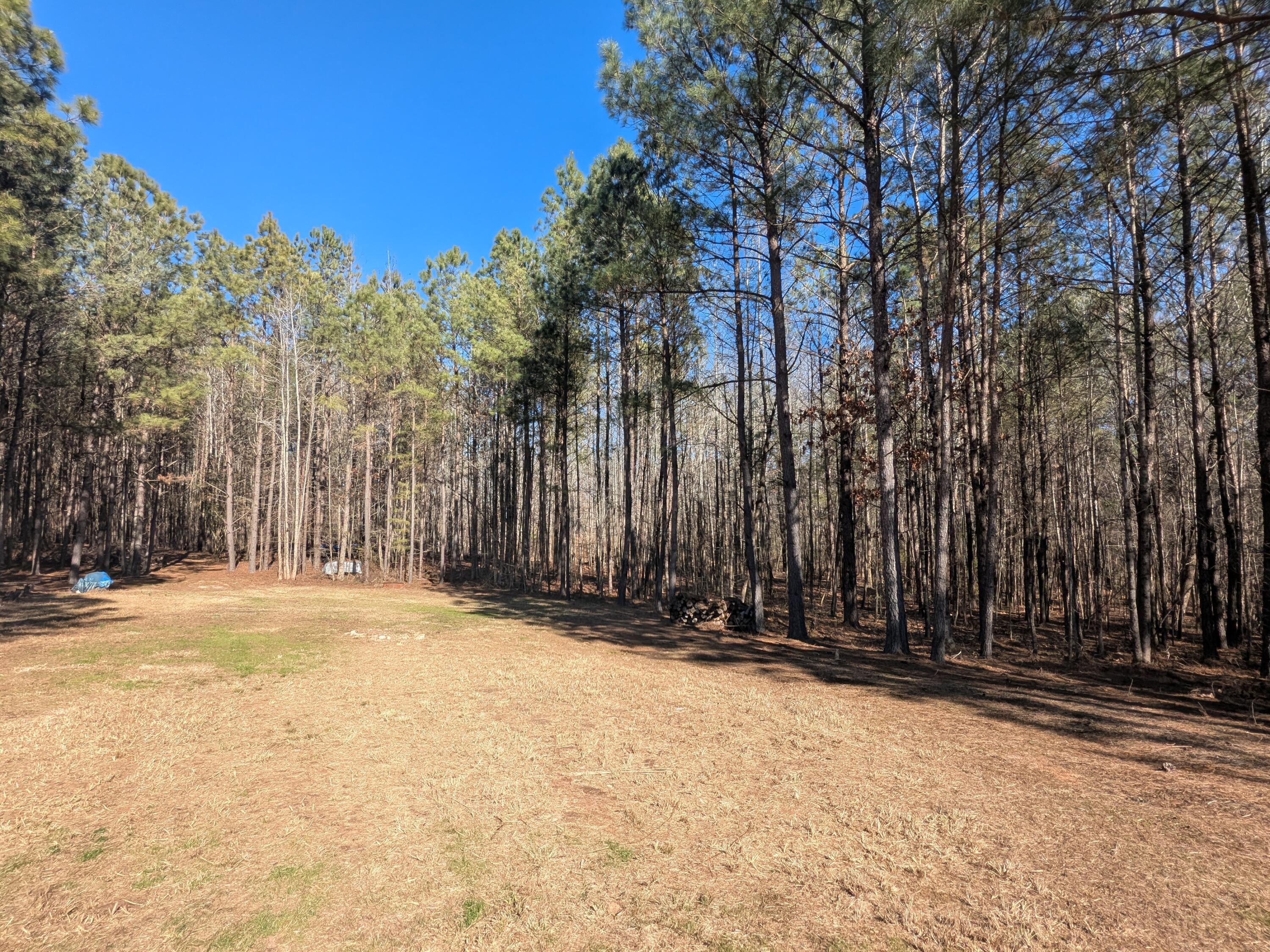 7 Riley Road Edgefield, SC 29824 - Photo 11 of 42 PXL_20260213_194135999