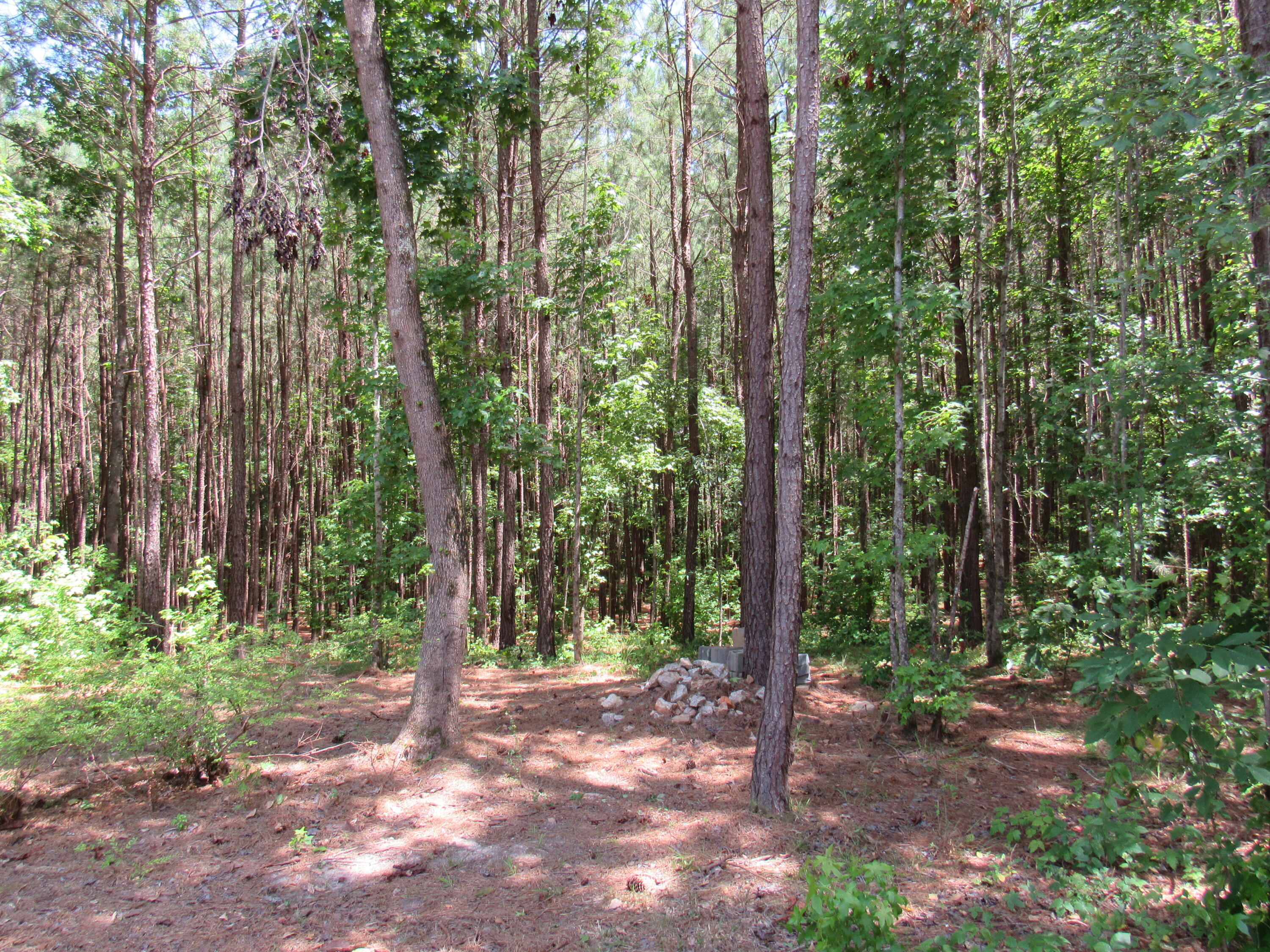 7 Riley Road Edgefield, SC 29824 - Photo 19 of 42 IMG_1972