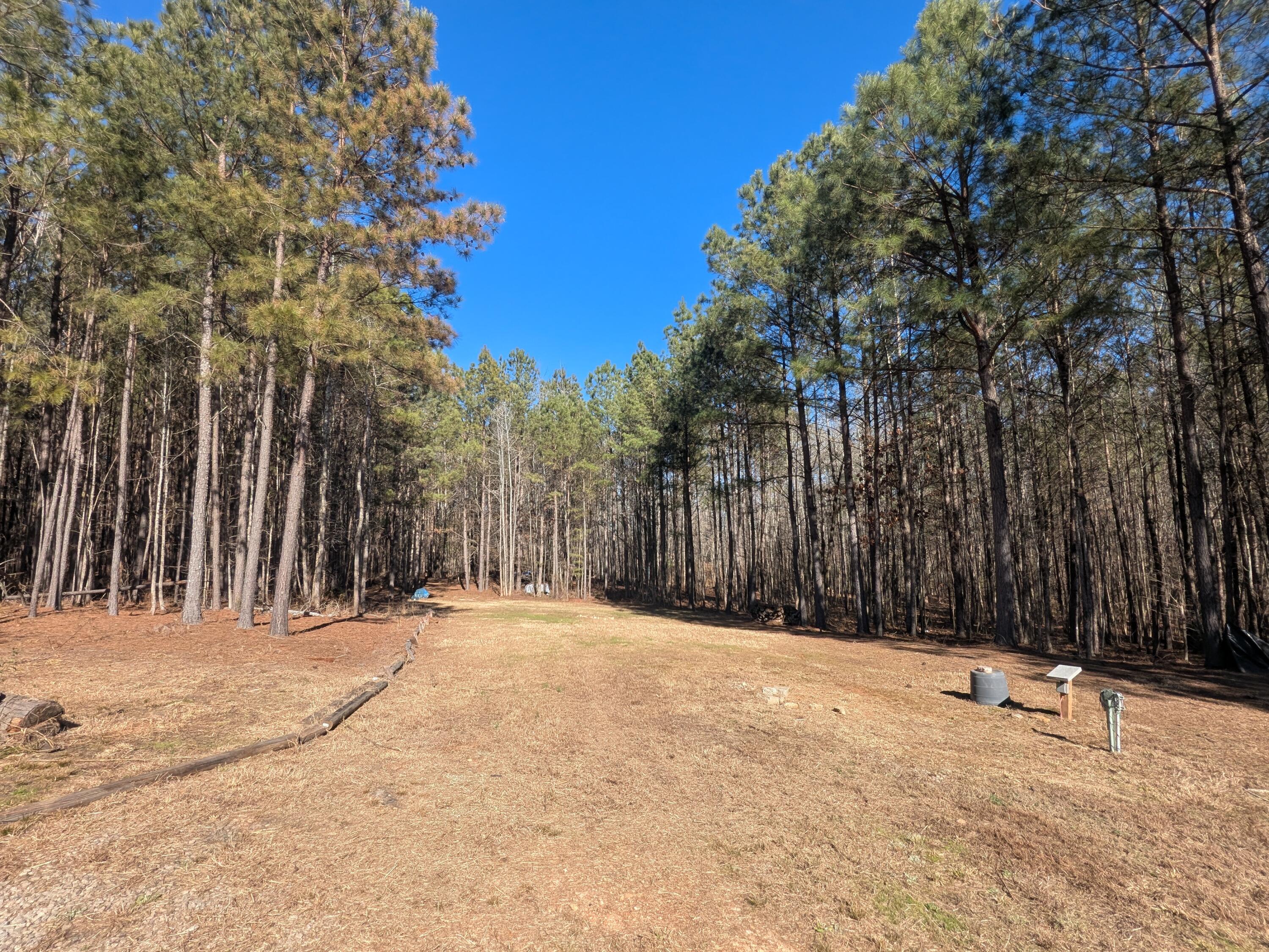 7 Riley Road Edgefield, SC 29824 - Photo 25 of 42 PXL_20260213_194033398