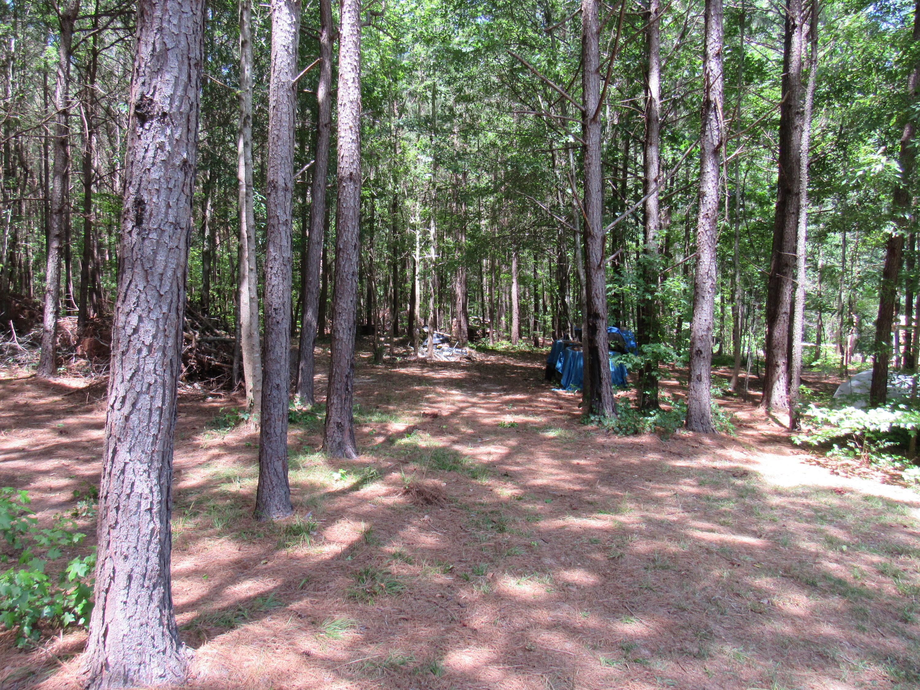 7 Riley Road Edgefield, SC 29824 - Photo 28 of 42 IMG_1995