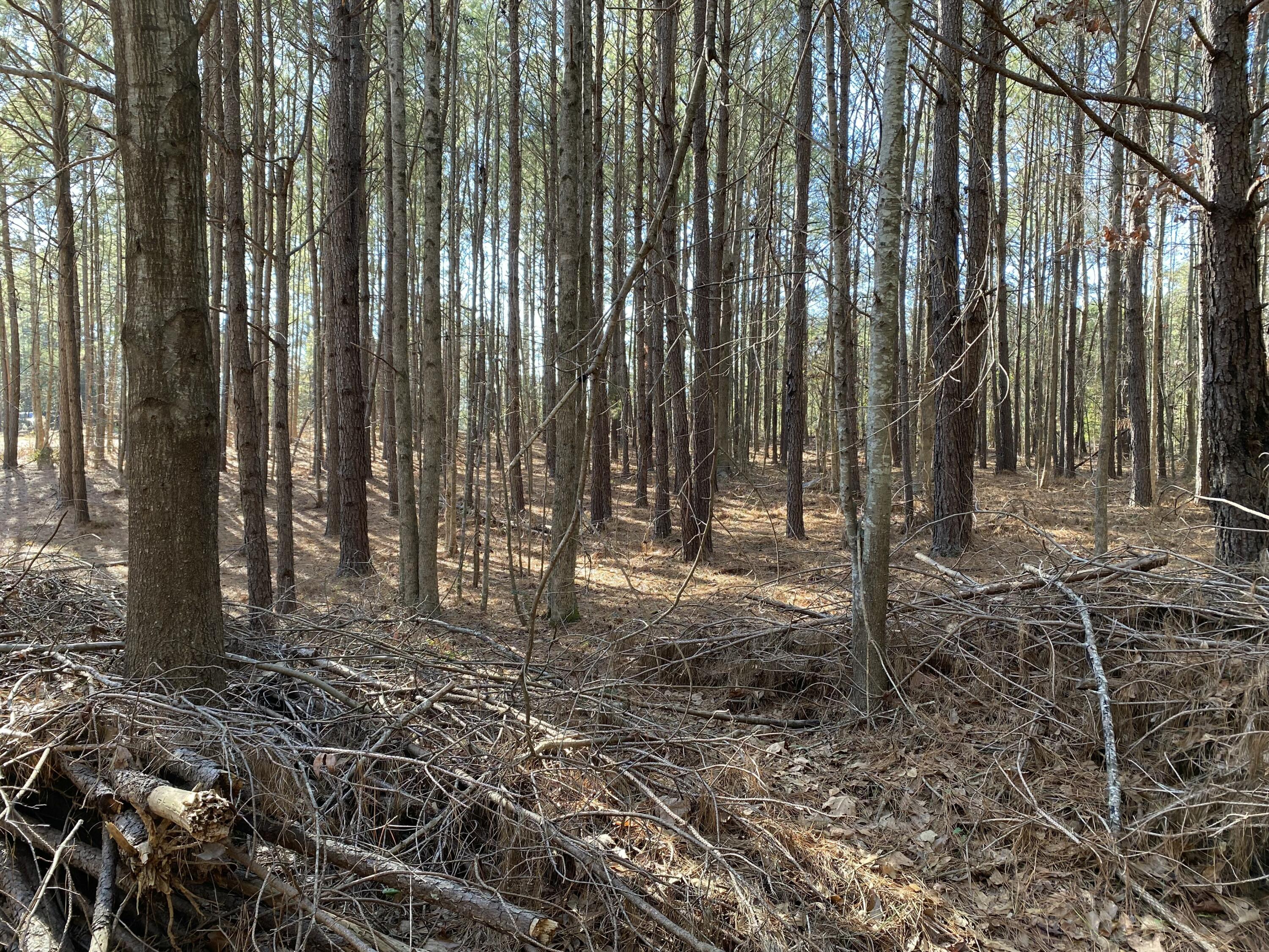 7 Riley Road Edgefield, SC 29824 - Photo 30 of 42 IMG_2320