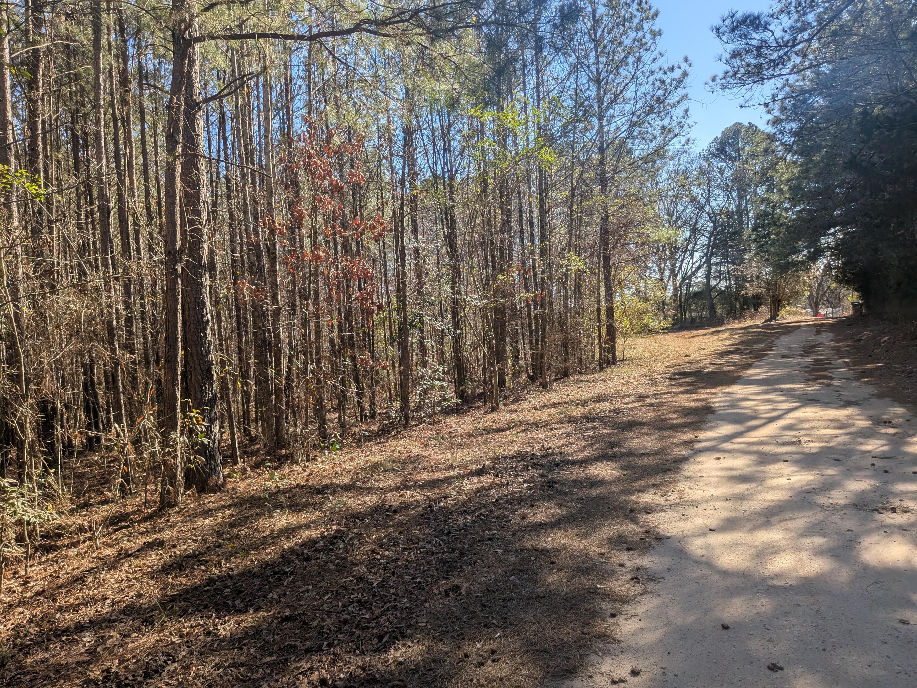 7 Riley Road Edgefield, SC 29824 - Photo 31 of 42 Riley Rd Frontage