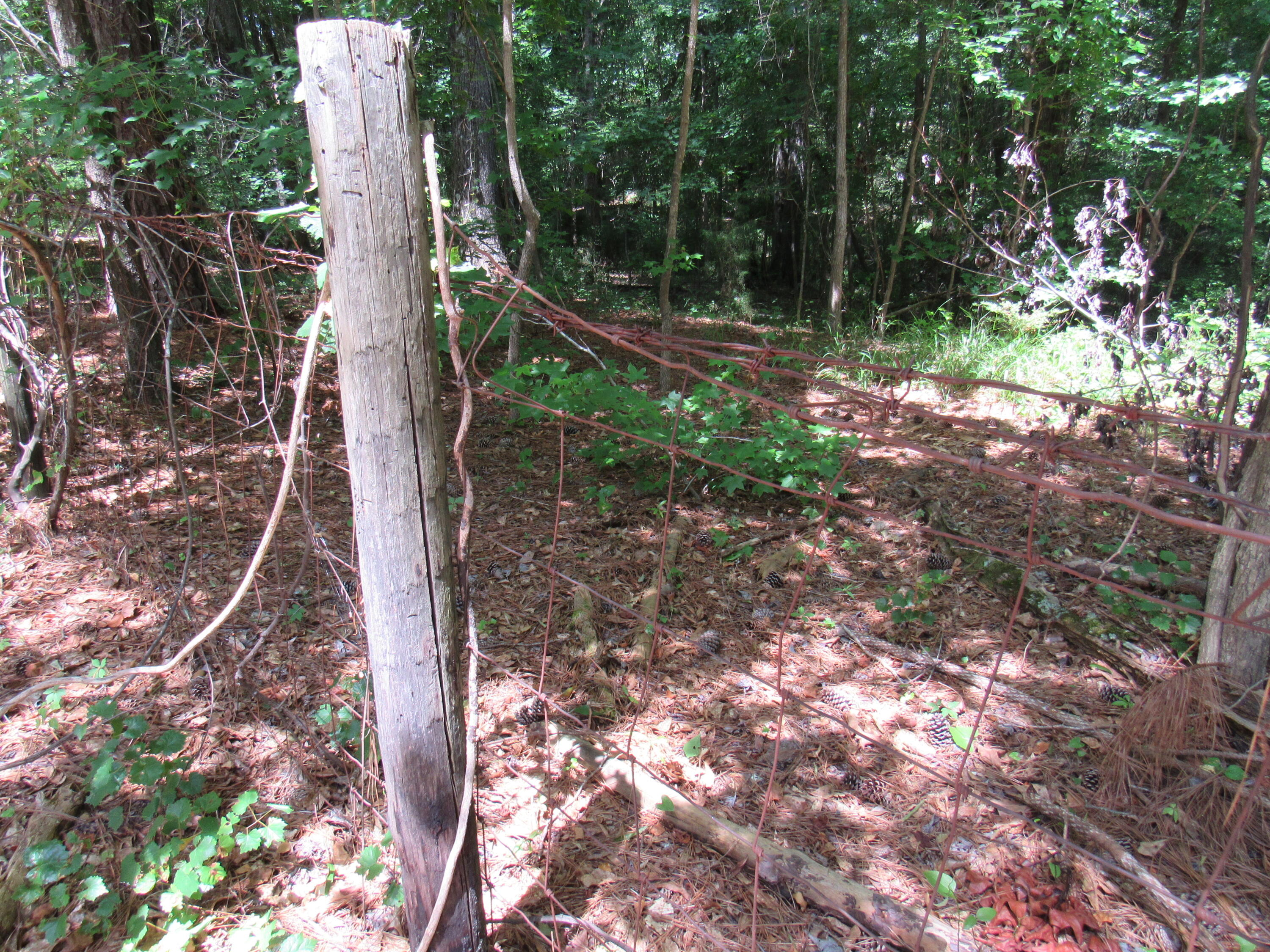 7 Riley Road Edgefield, SC 29824 - Photo 32 of 42 IMG_2005