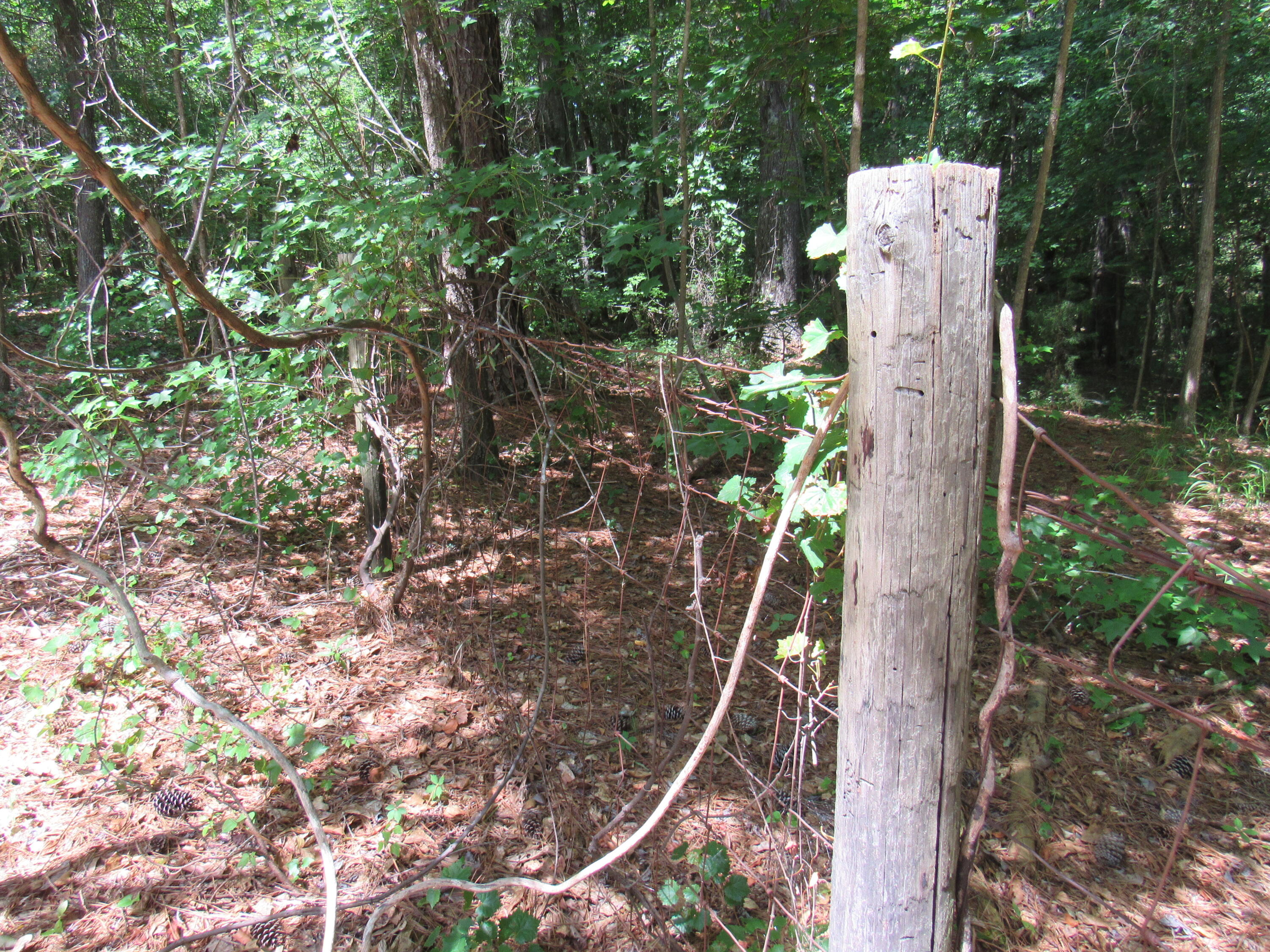 7 Riley Road Edgefield, SC 29824 - Photo 33 of 42 IMG_2006