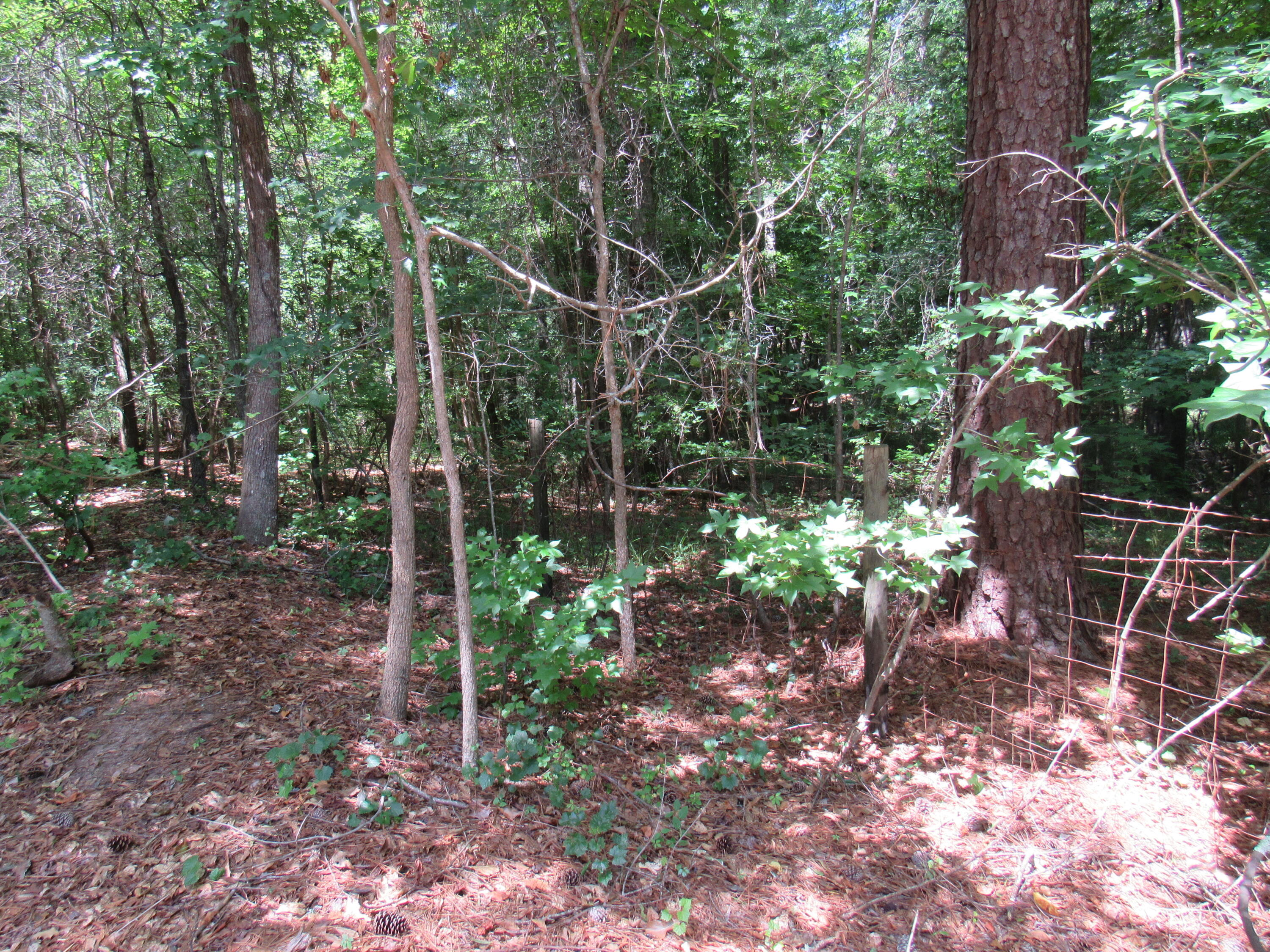 7 Riley Road Edgefield, SC 29824 - Photo 34 of 42 IMG_2010