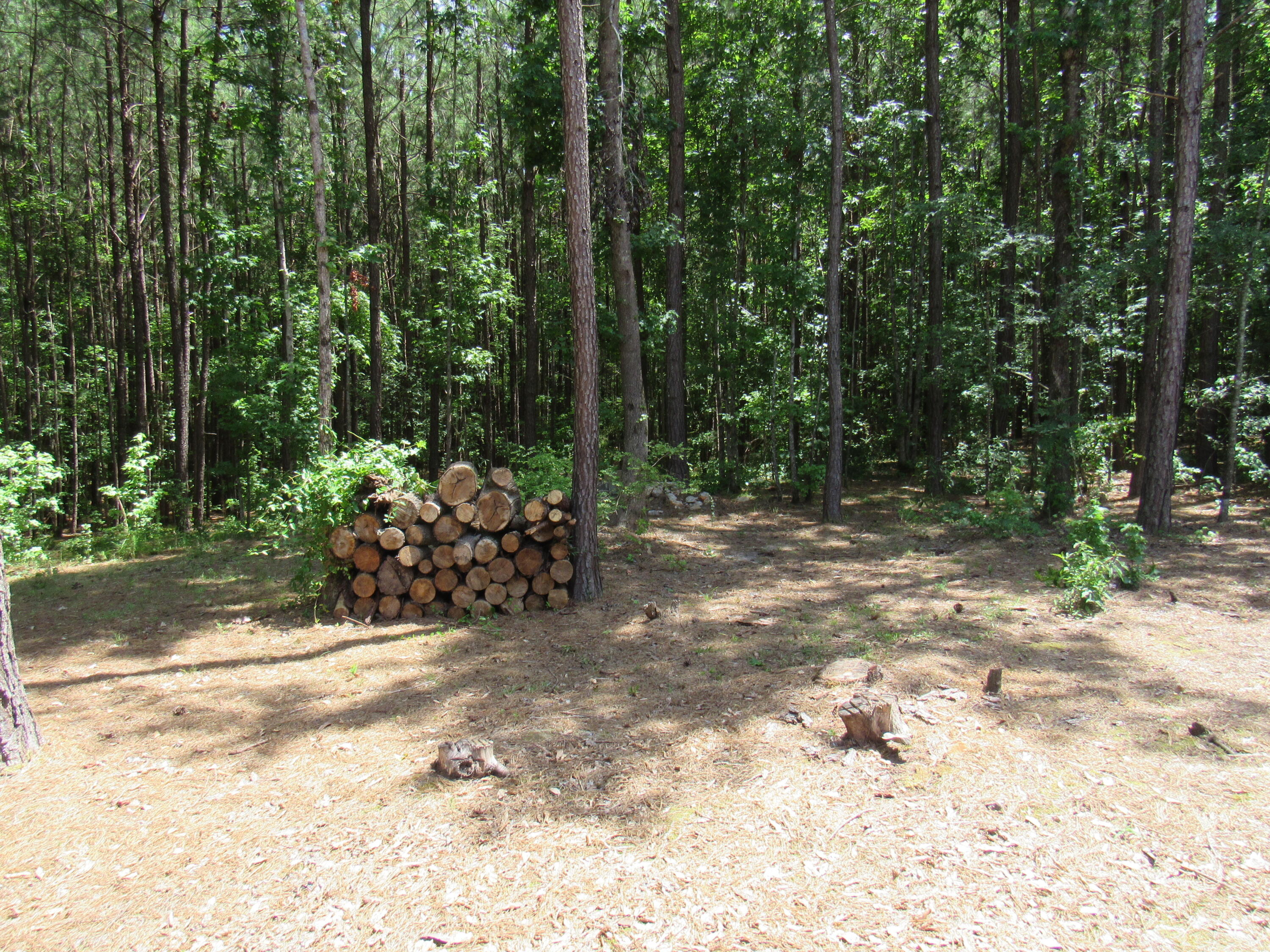 7 Riley Road Edgefield, SC 29824 - Photo 35 of 42 IMG_1974