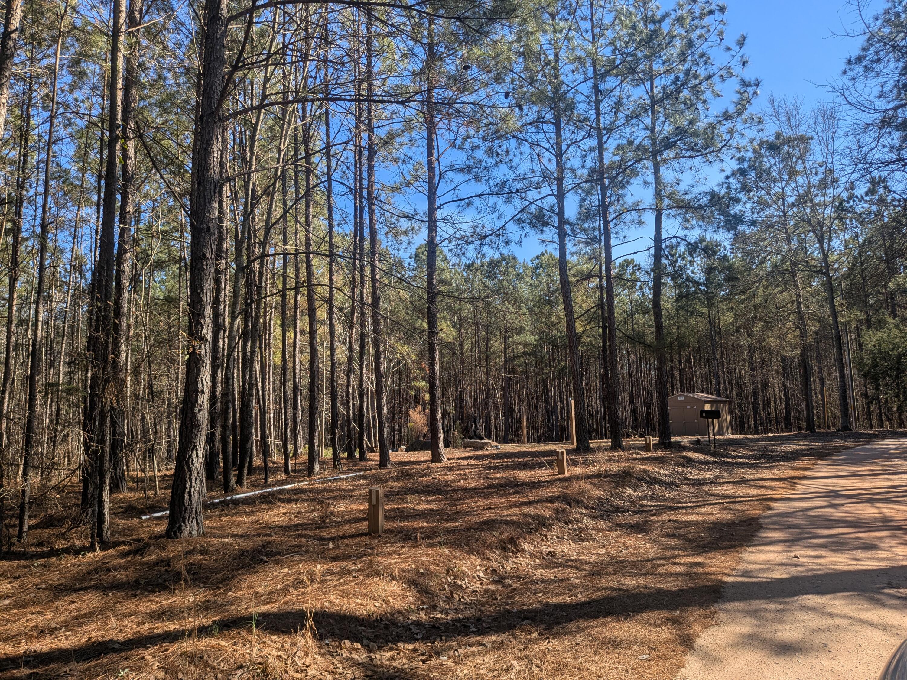 7 Riley Road Edgefield, SC 29824 - Photo 38 of 42 Road Frontage