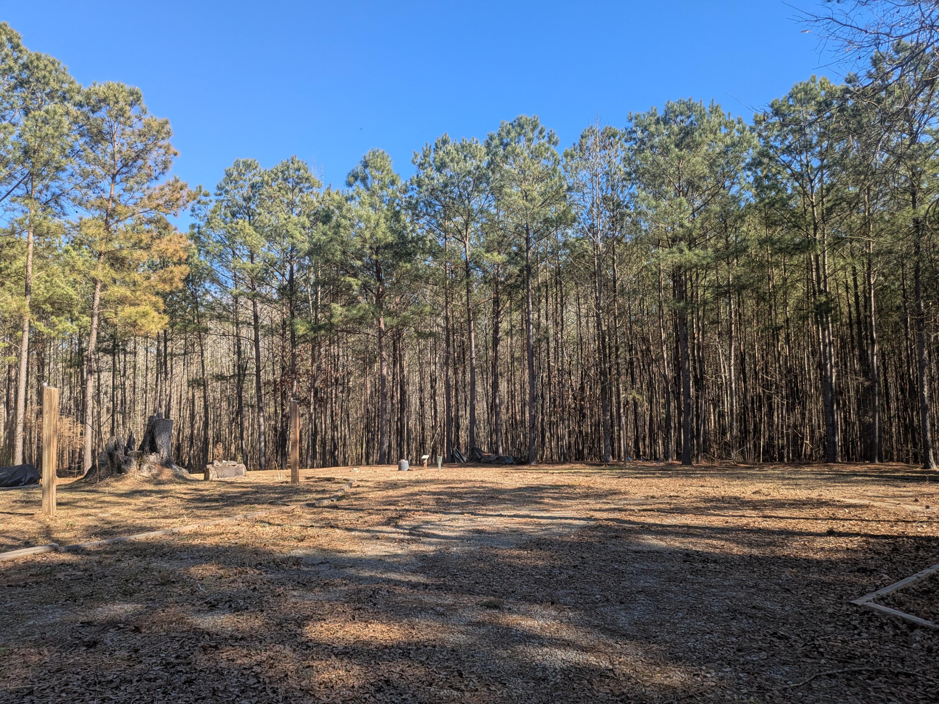 7 Riley Road Edgefield, SC 29824 - Photo 39 of 42 PXL_20260213_193100884