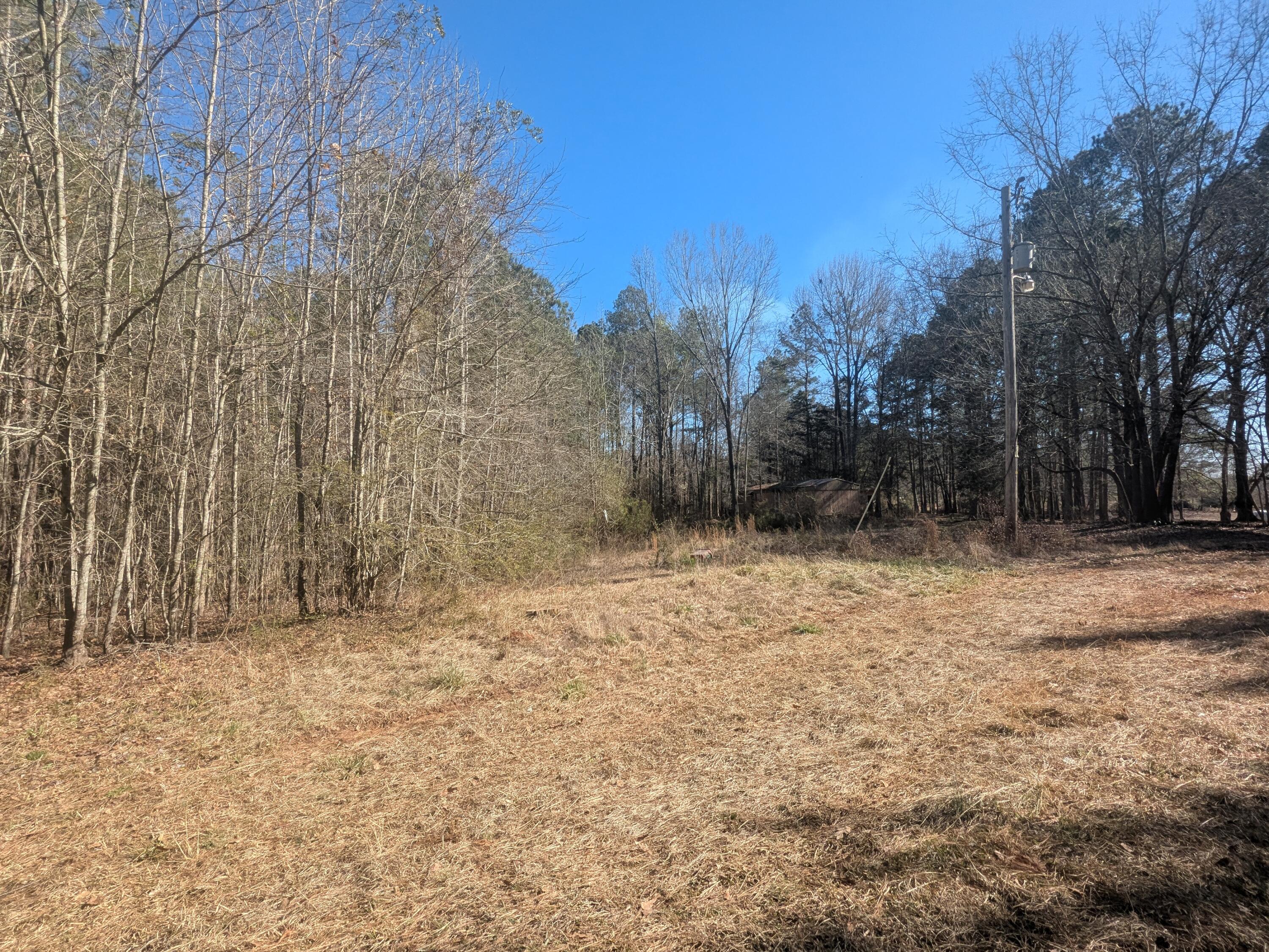 7 Riley Road Edgefield, SC 29824 - Photo 40 of 42 PXL_20260213_193133347