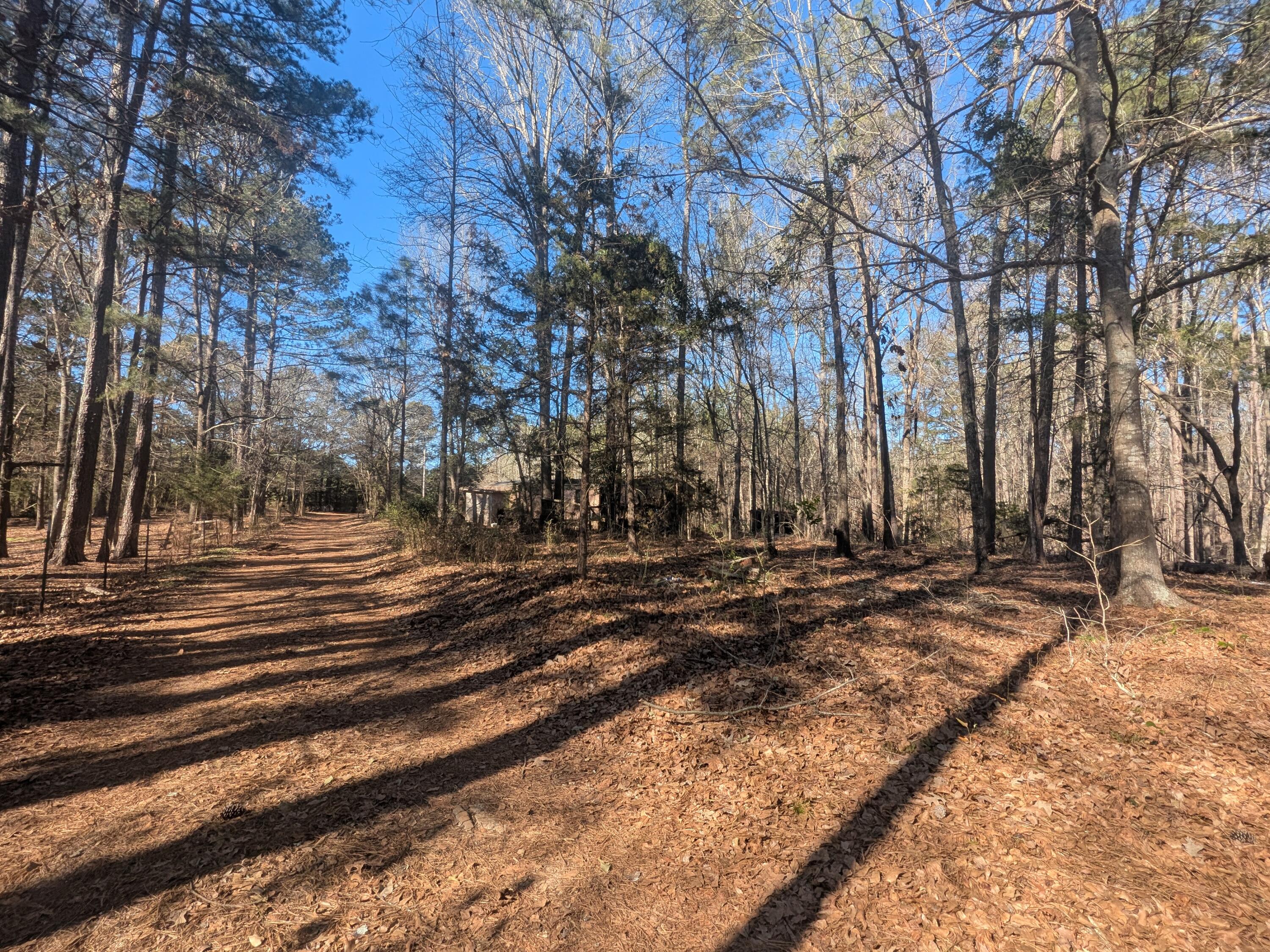 7 Riley Road Edgefield, SC 29824 - Photo 41 of 42 PXL_20260213_193628533