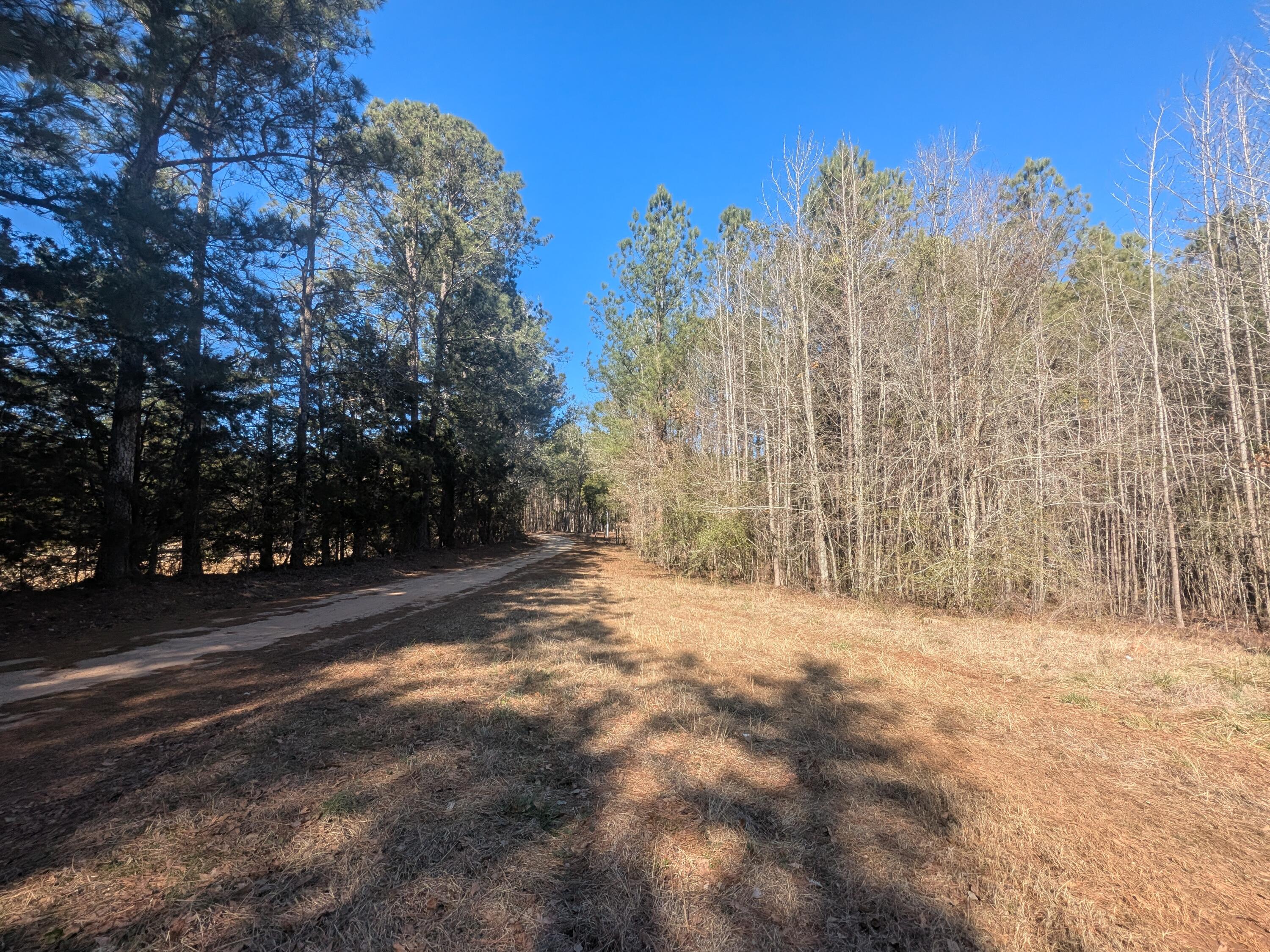 7 Riley Road Edgefield, SC 29824 - Photo 42 of 42 Riley Rd Frontage