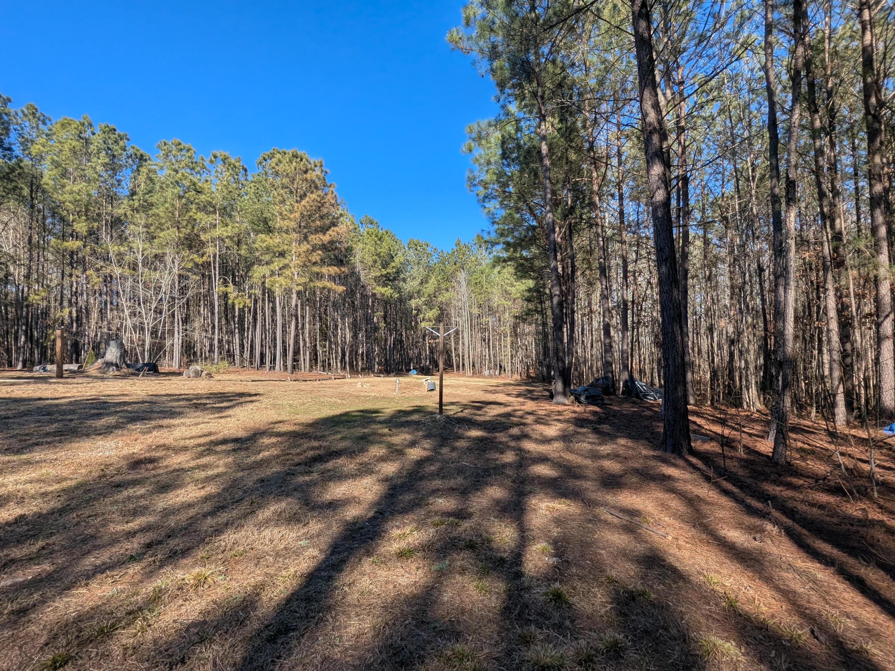 7 Riley Road Edgefield, SC 29824 - Photo 7 of 42 PXL_20260213_194109465
