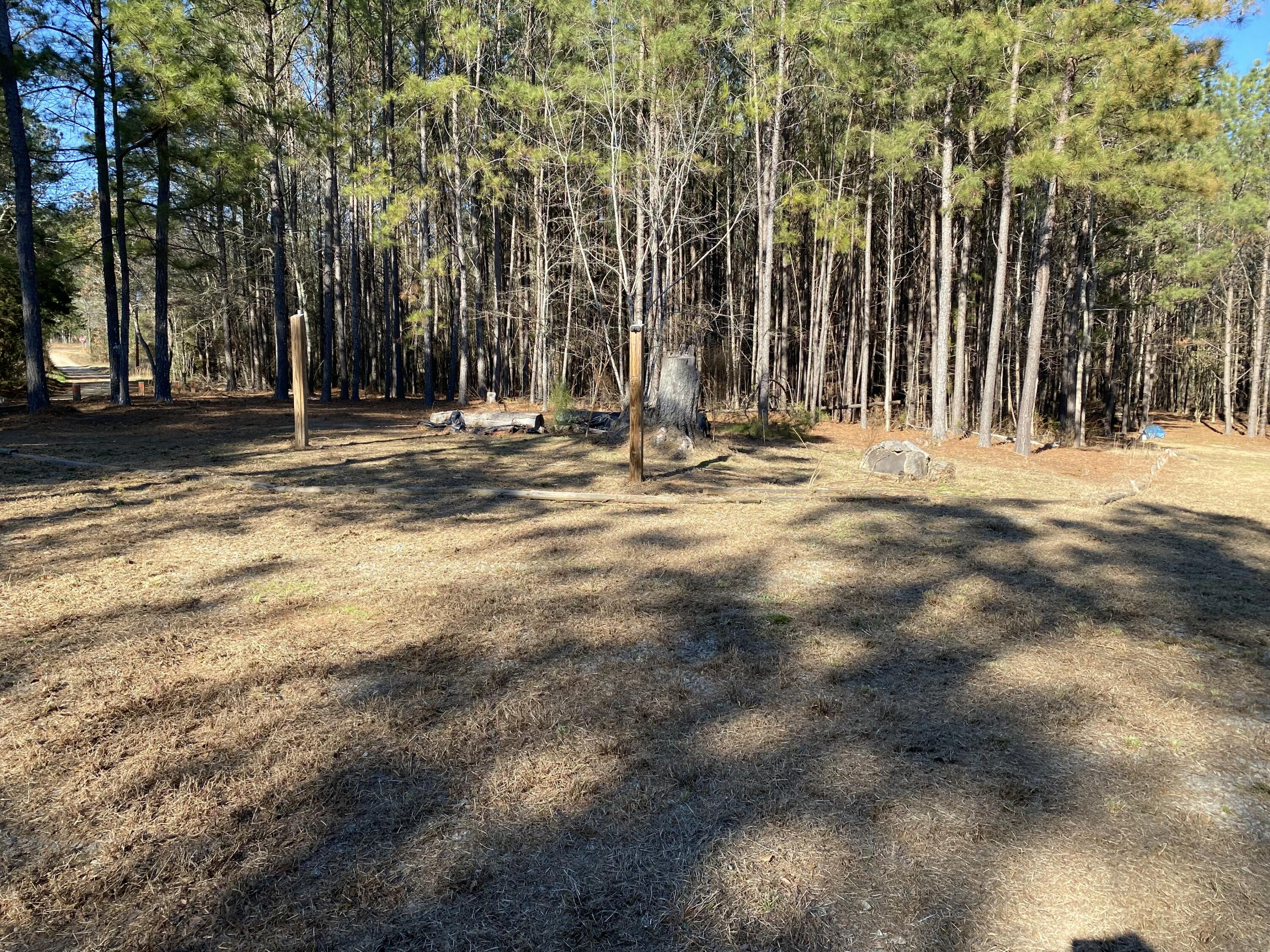 7 Riley Road Edgefield, SC 29824 - Photo 8 of 42 IMG_2315