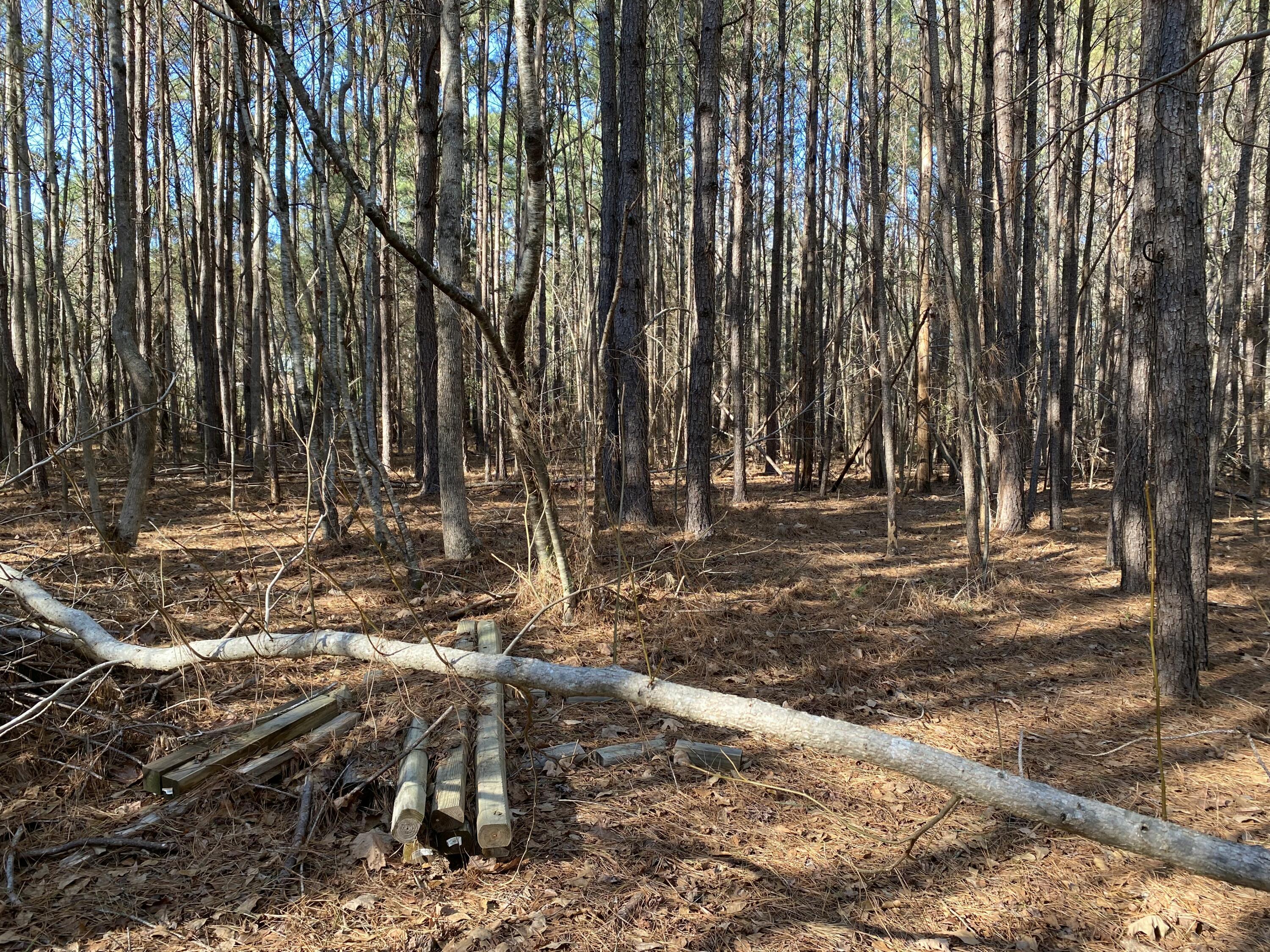 7 Riley Road Edgefield, SC 29824 - Photo 9 of 42 IMG_2319