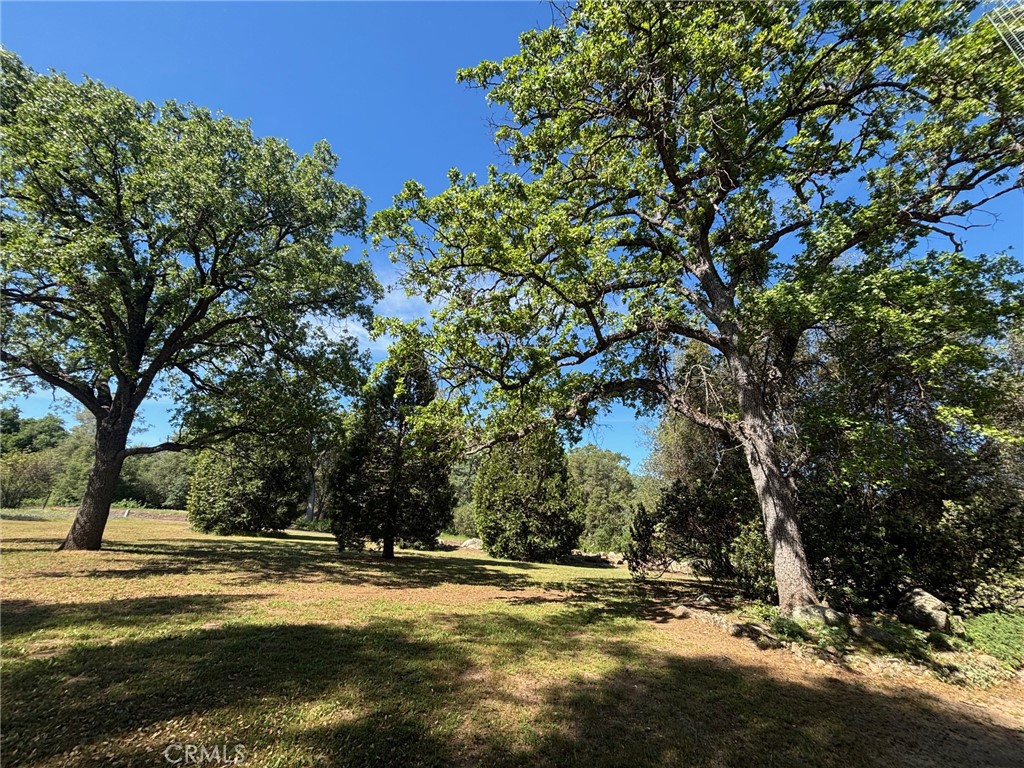 4918 Indian Peak Road Mariposa, CA 95338 - Photo 38 of 39 a view of a yard with a tree