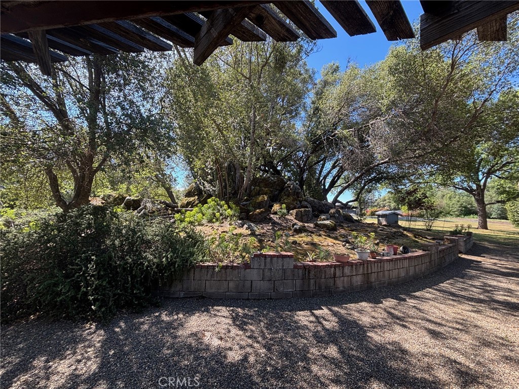 4918 Indian Peak Road Mariposa, CA 95338 - Photo 5 of 39 a view of outdoor space and yard