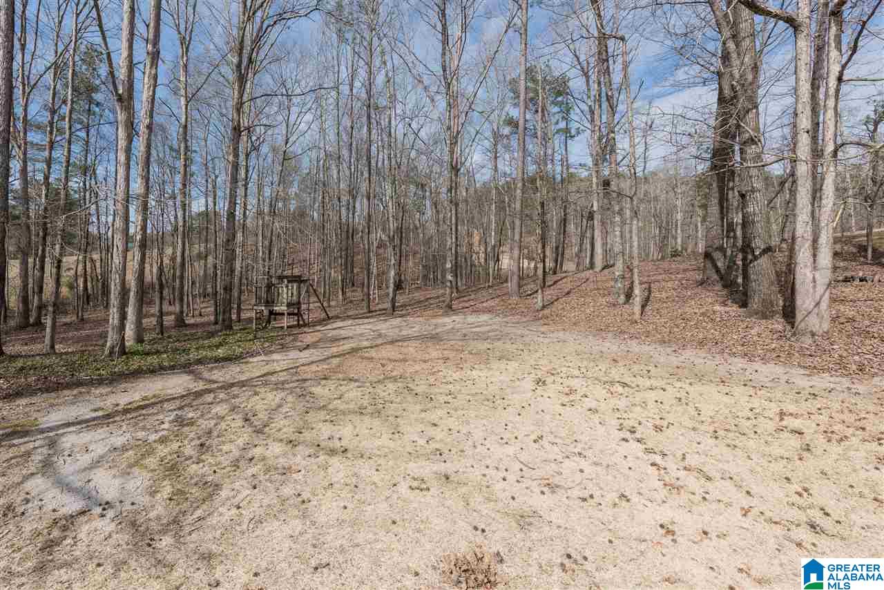 5309 County Road 11 Pelham, AL 35124 - Photo 46 of 46