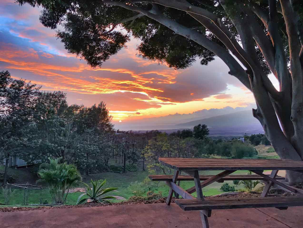 399 Omaopio Road, Unit A Kula, HI 96790 - Photo 2 of 29 Gallery Image 2