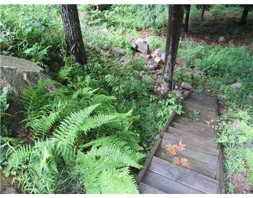 28 Stone Road Casco, ME 04015 - Photo 20 of 20 Yard/Garden. What a beautiful blend...