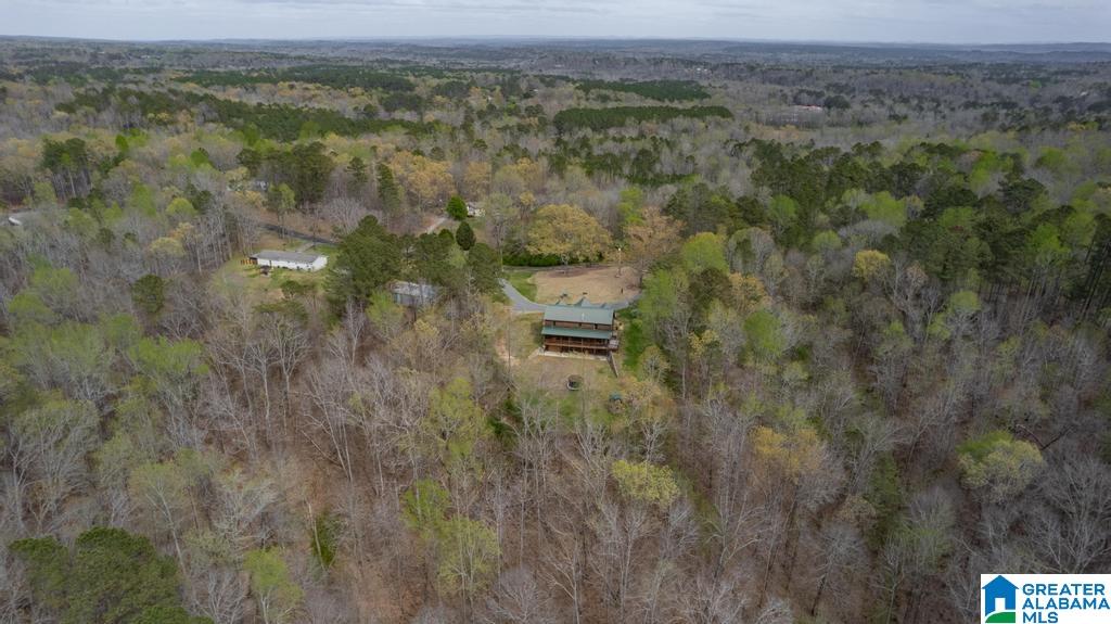 7130 Sellers Road Dora, AL 35062 - Photo 59 of 63