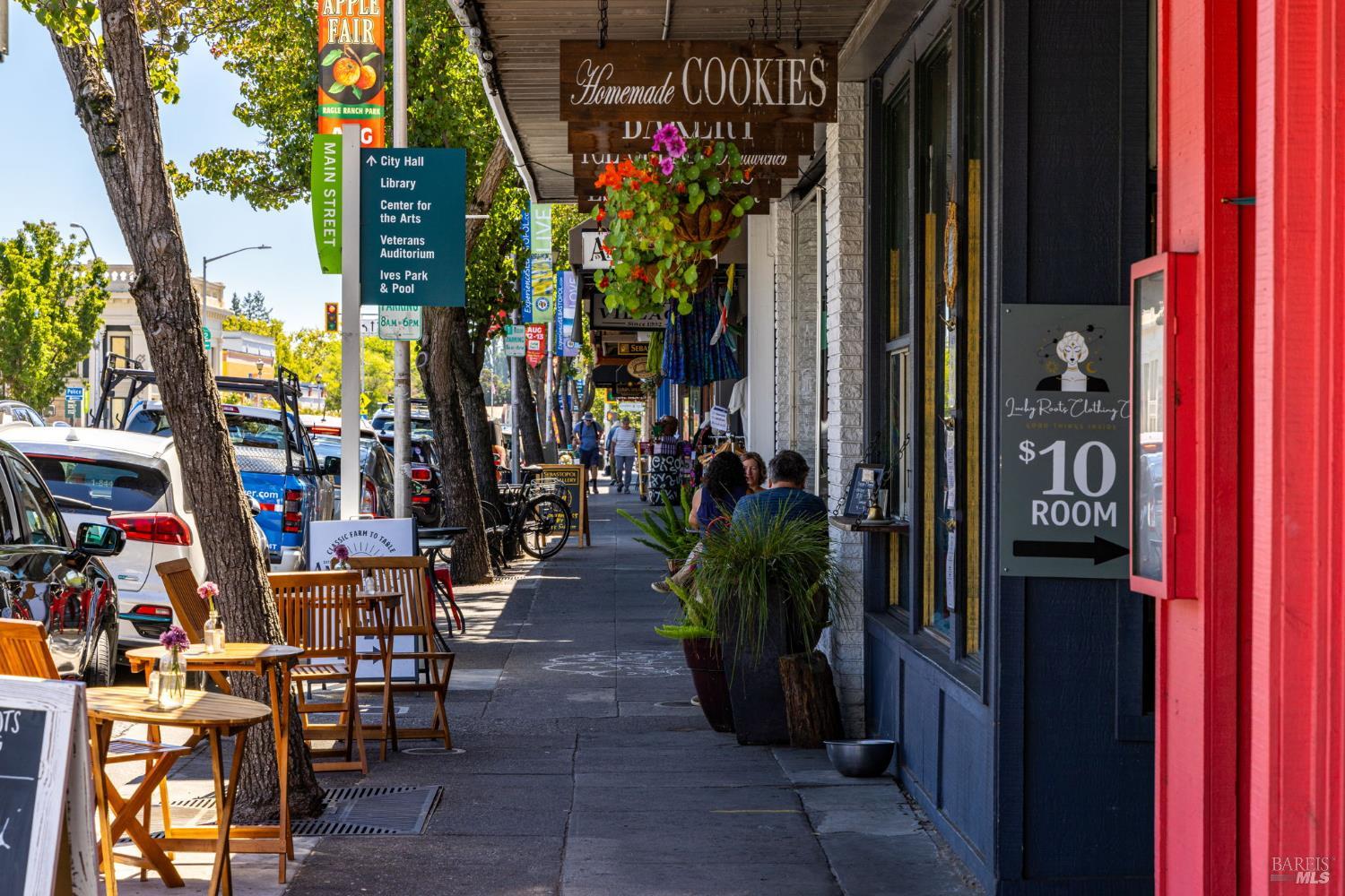 471 Florence Avenue Sebastopol, CA 95472 - Photo 68 of 71 Sebastopol's downtown!