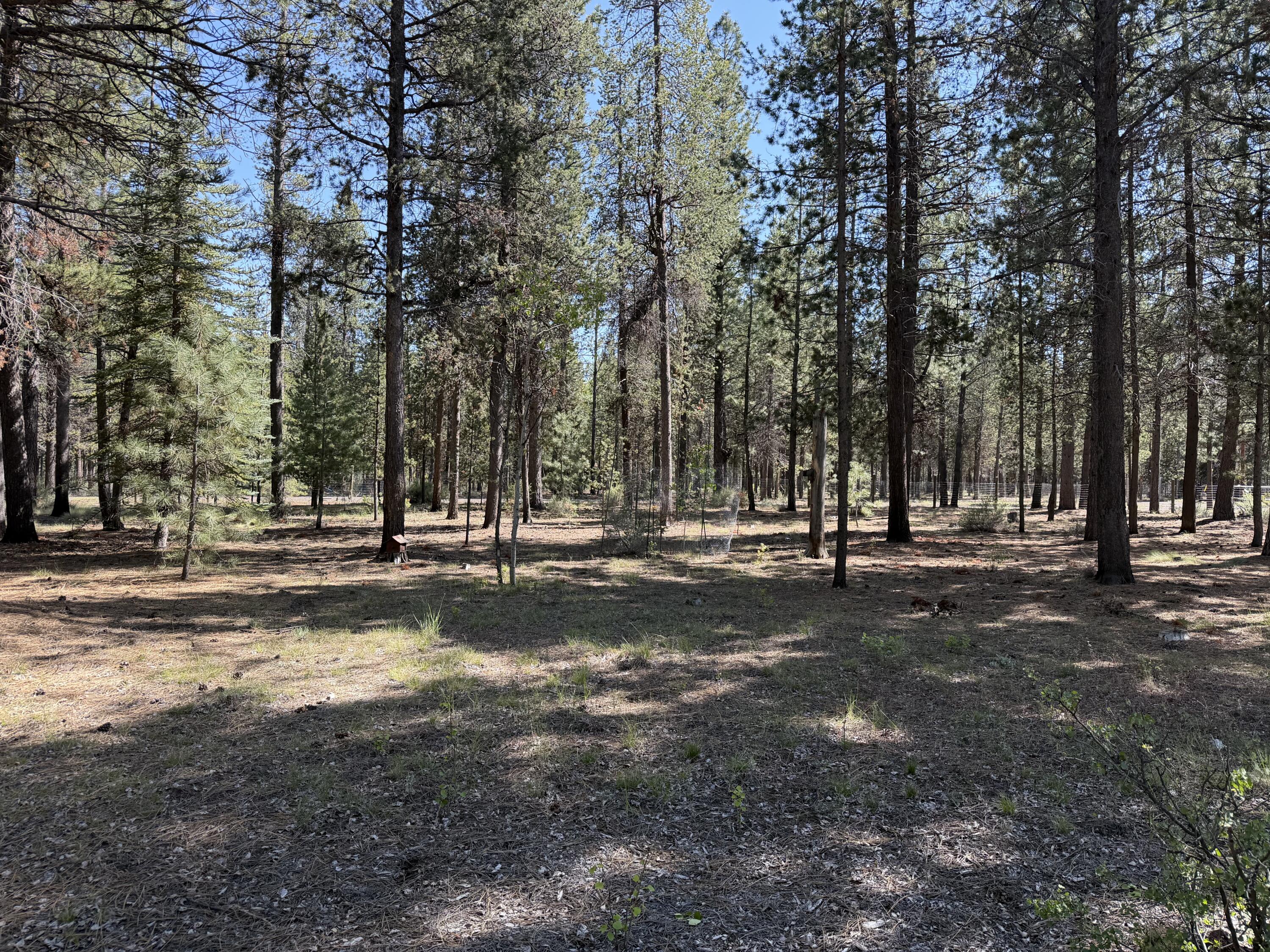 15740 Cornell Road La Pine, OR 97739 - Photo 46 of 54 IMG_2594