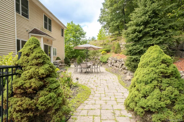 a view of a yard with plants