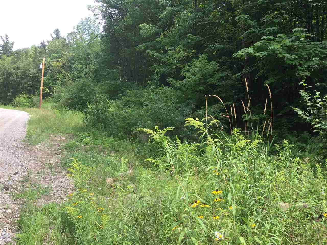 0 Martin Road Washington, NH 03280 - Photo 2 of 11