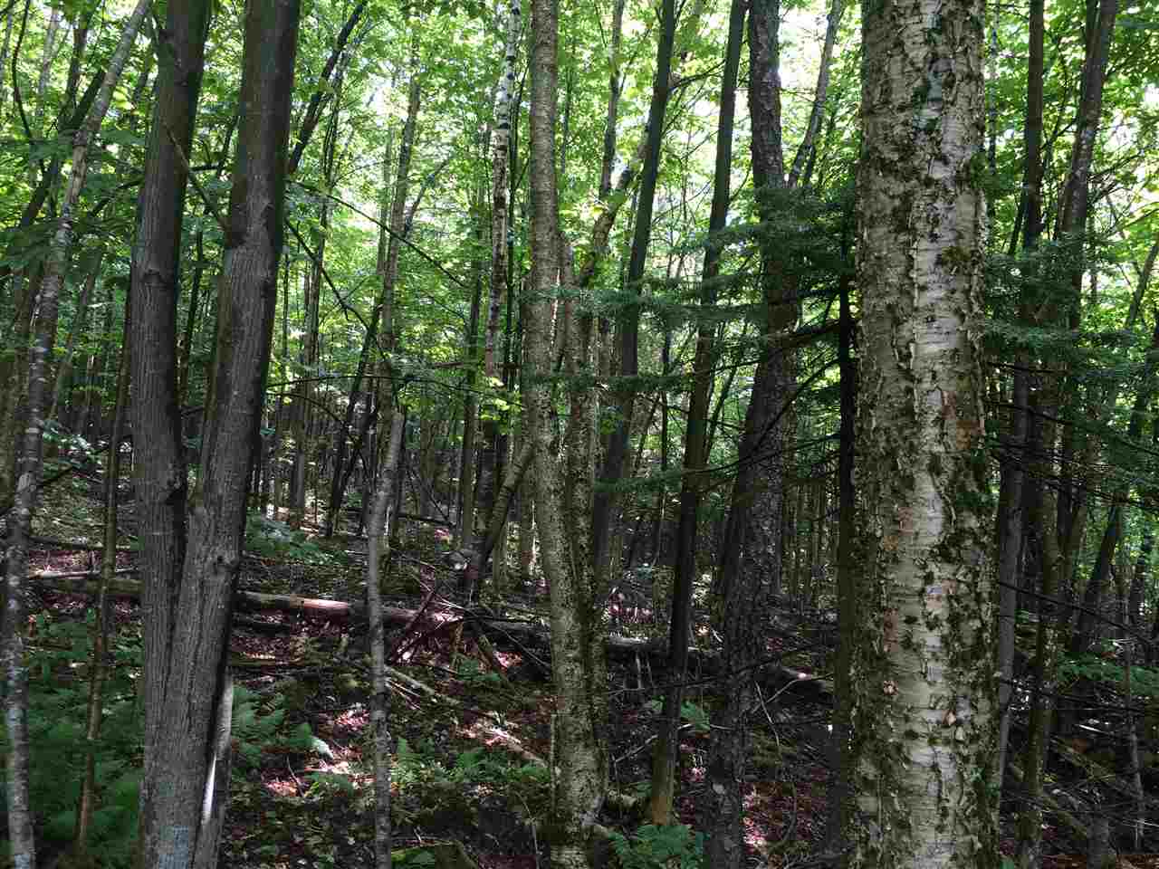 0 Martin Road Washington, NH 03280 - Photo 3 of 11