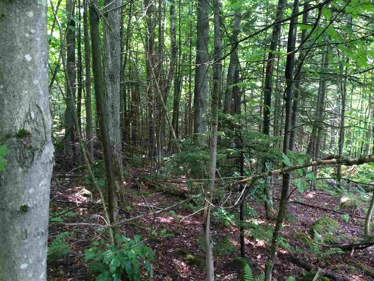 0 Martin Road Washington, NH 03280 - Photo 4 of 11