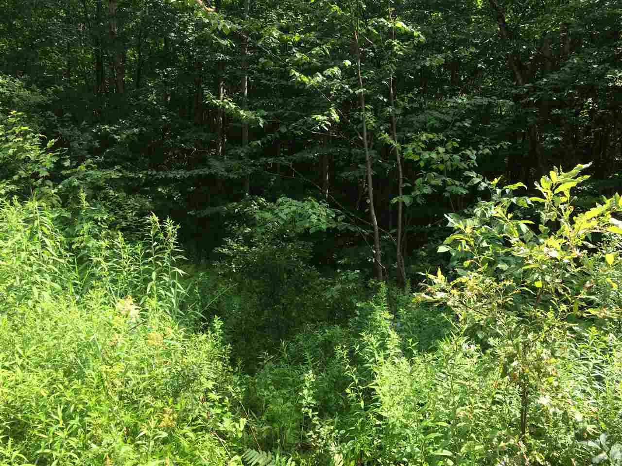 0 Martin Road Washington, NH 03280 - Photo 5 of 11