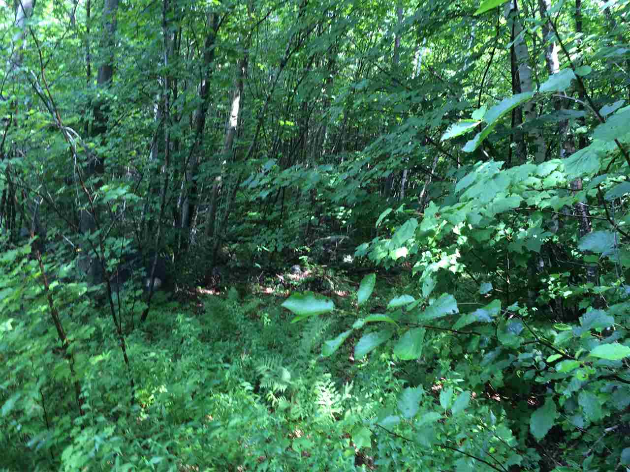 0 Martin Road Washington, NH 03280 - Photo 8 of 11